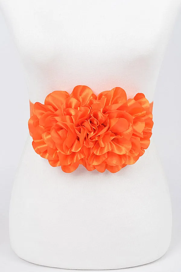 5586 Orange - Pack of 6