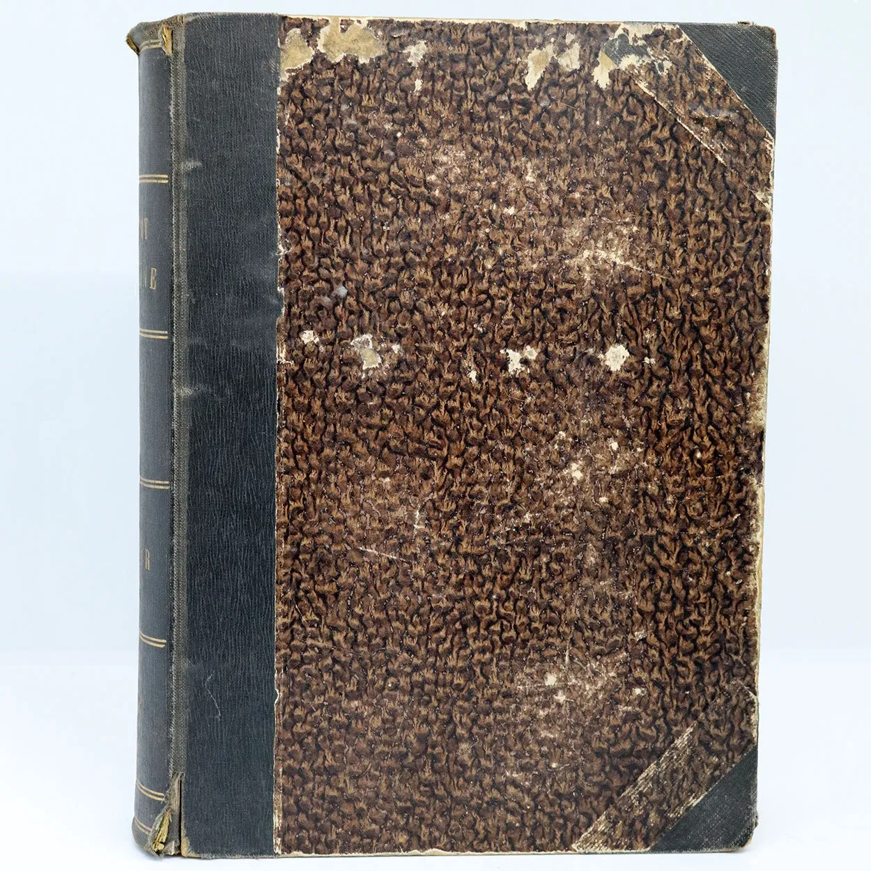 American Leather Bound Book: The Century Illustrated Monthly Magazine