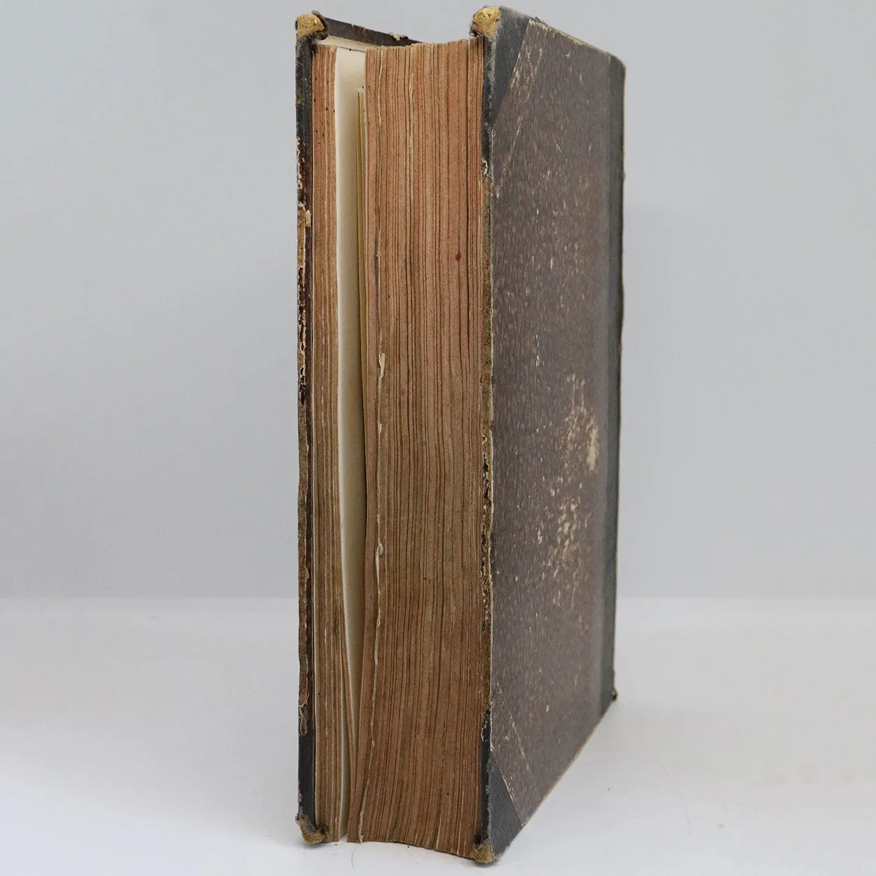 American Leather Bound Book: The Century Illustrated Monthly Magazine