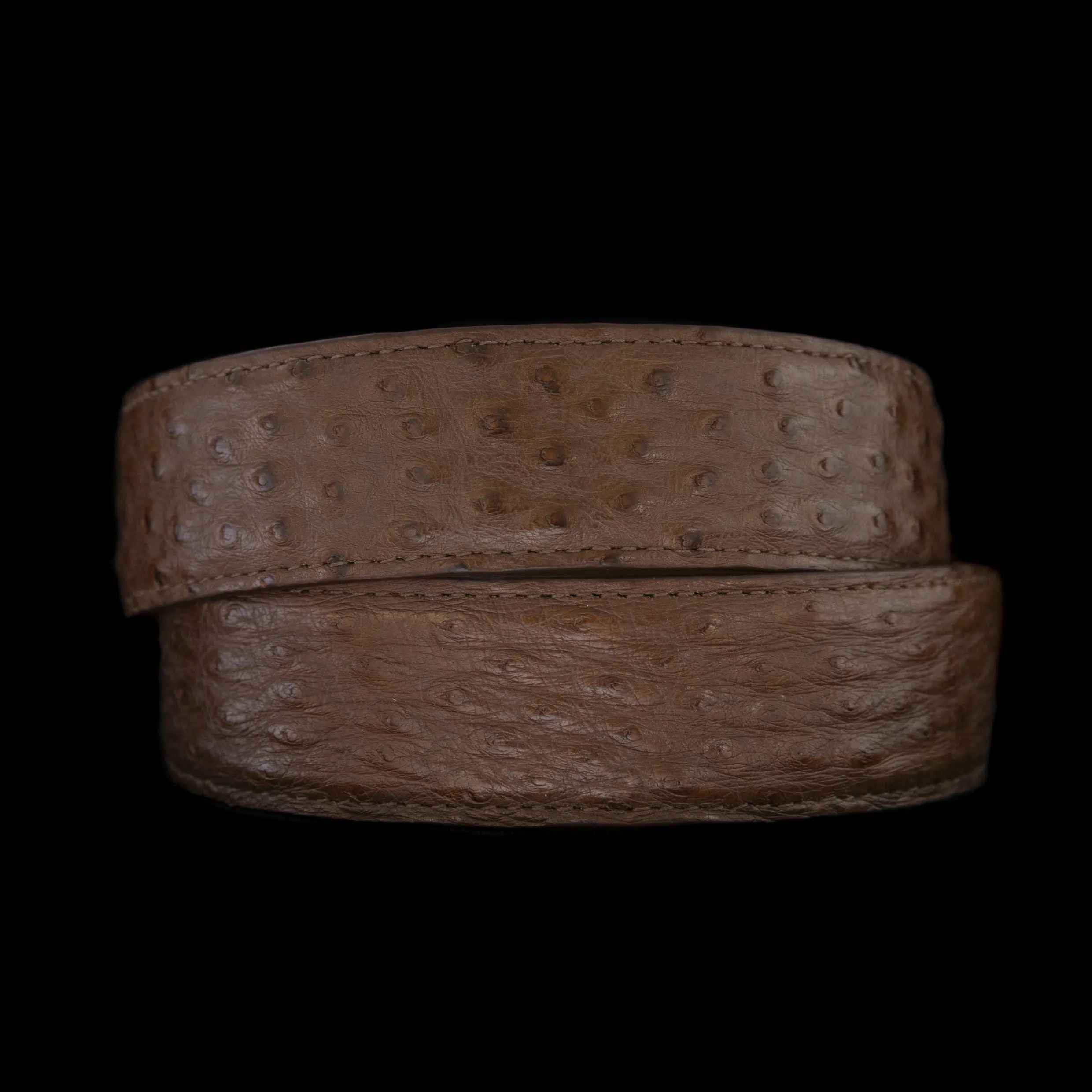 American Ostrich in Tobacco