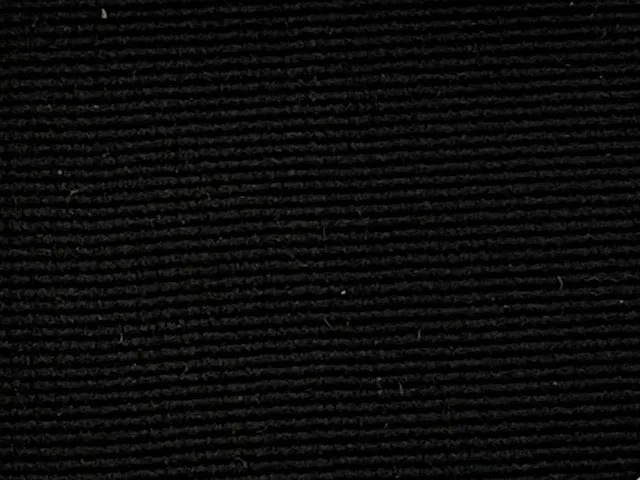 Black Stirrup Belt
