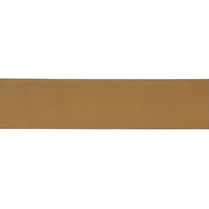 Brown Leather Belt Band