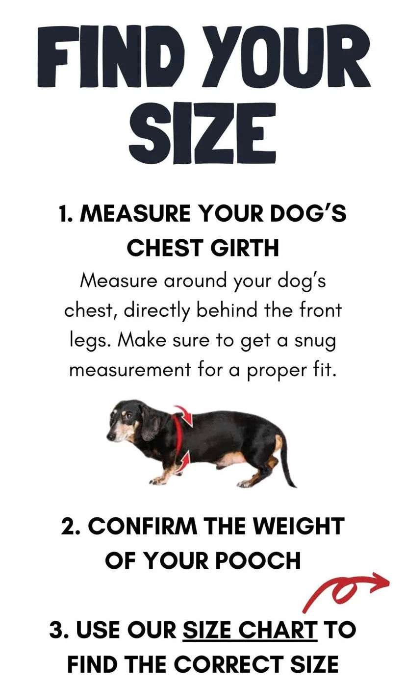 Buddy Belt Harness - Red Permanent