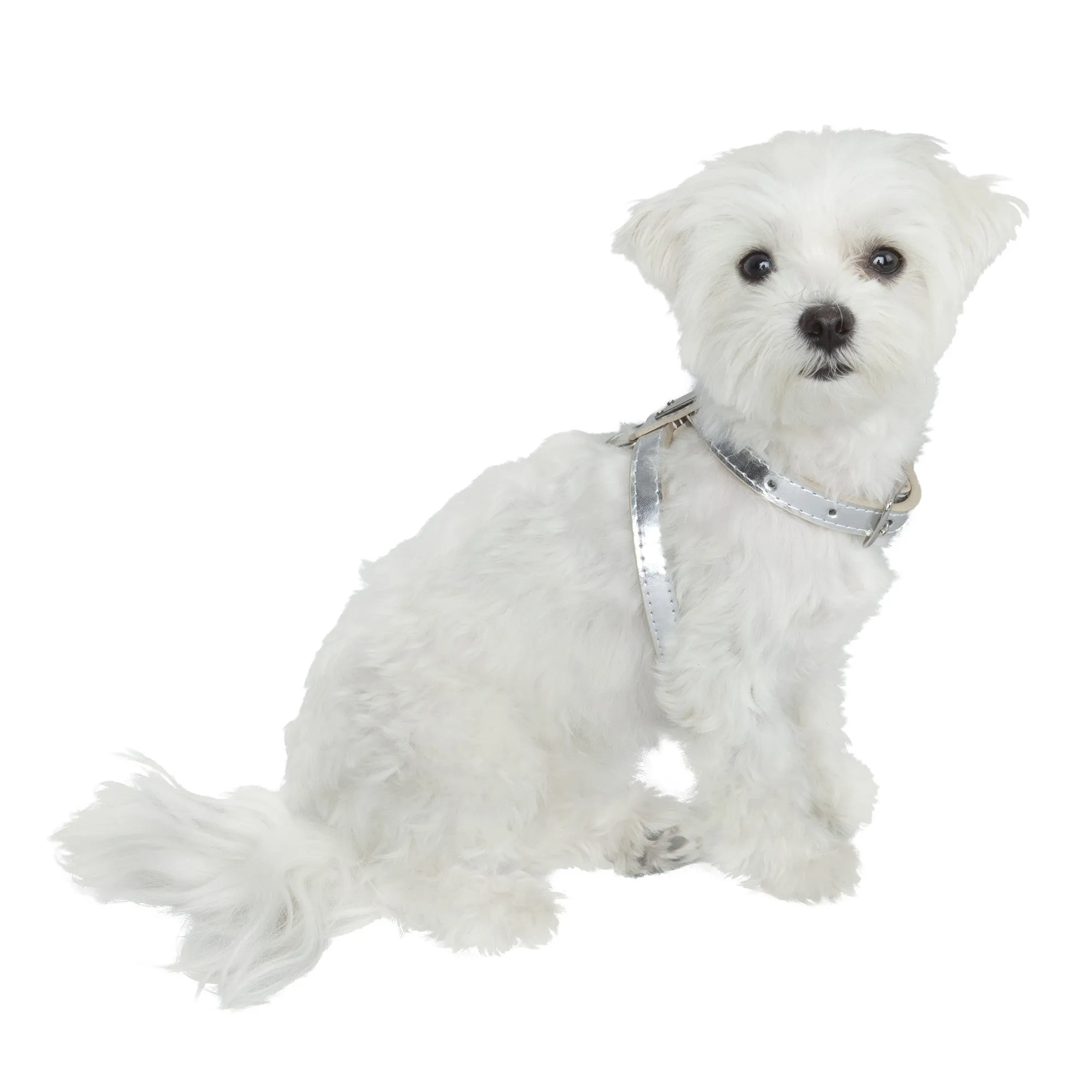 Classic Dog Harness