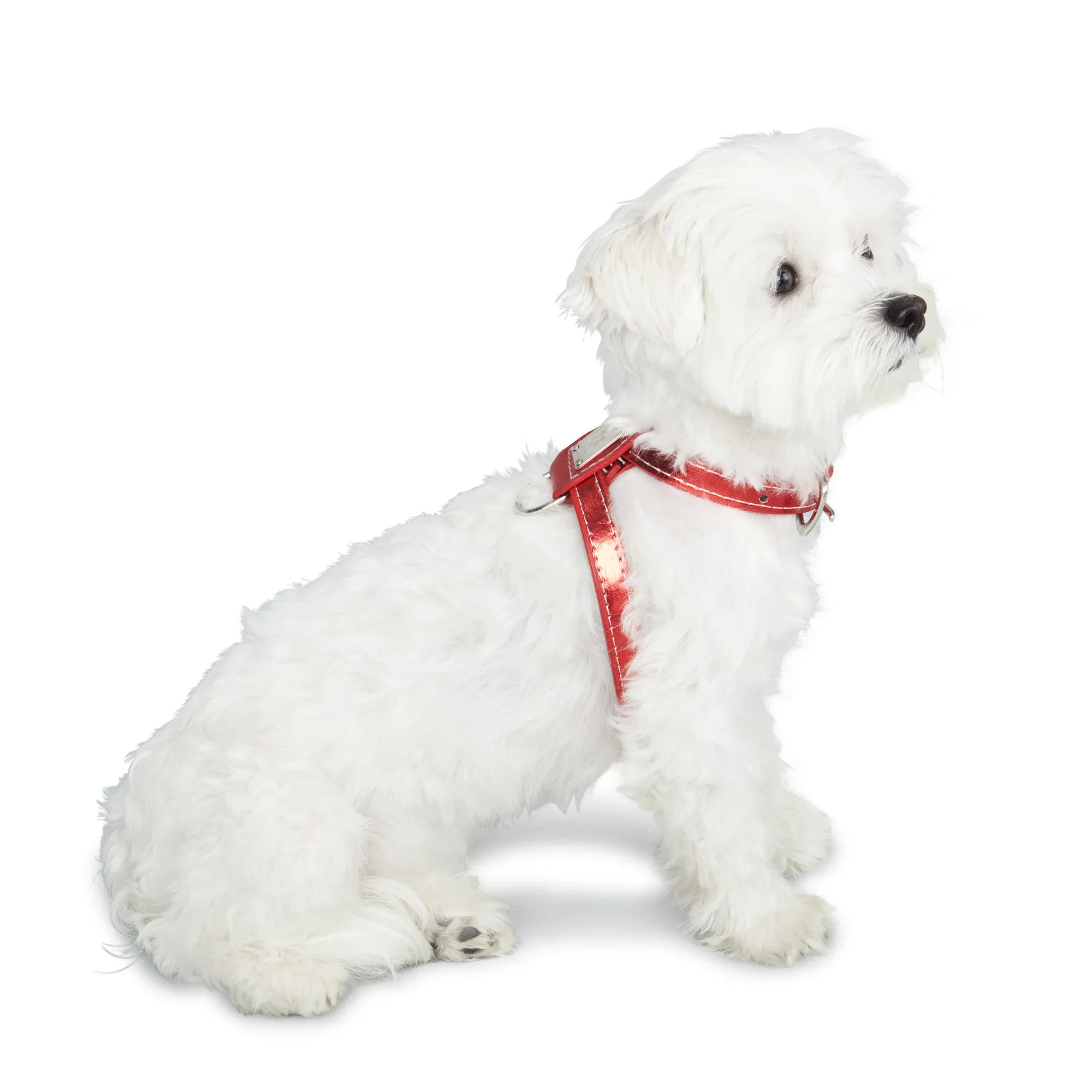 Classic Dog Harness
