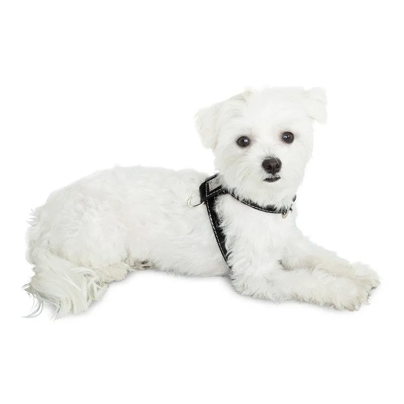 Classic Dog Harness