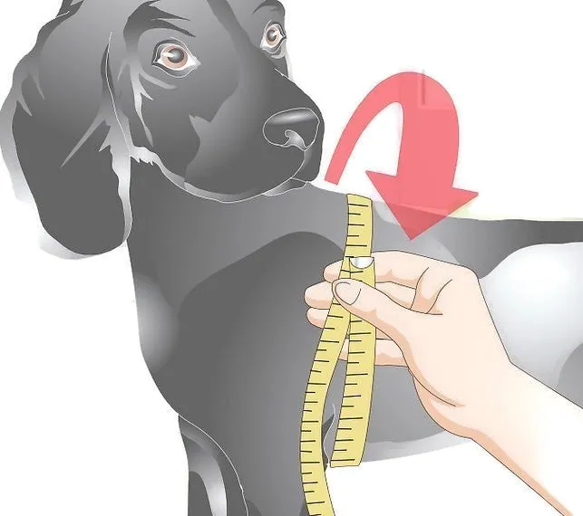 Classic Leather Step-In Dog Harness