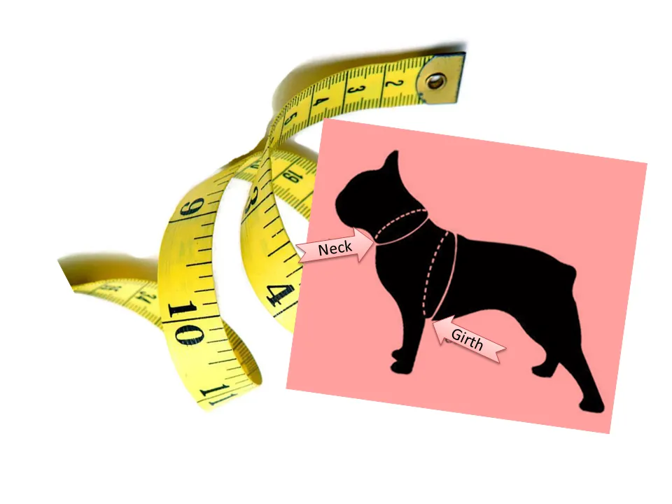 Classic Leather Step-In Dog Harness