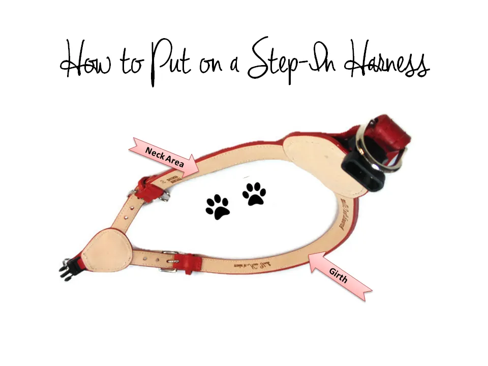 Classic Leather Step-In Dog Harness
