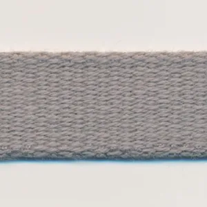Cotton Taffeta Ribbon #131 Nickel