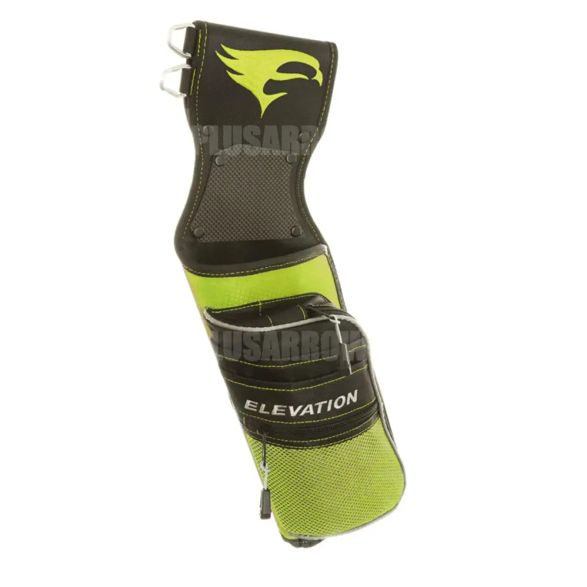 Elevation Nerve Field Quiver
