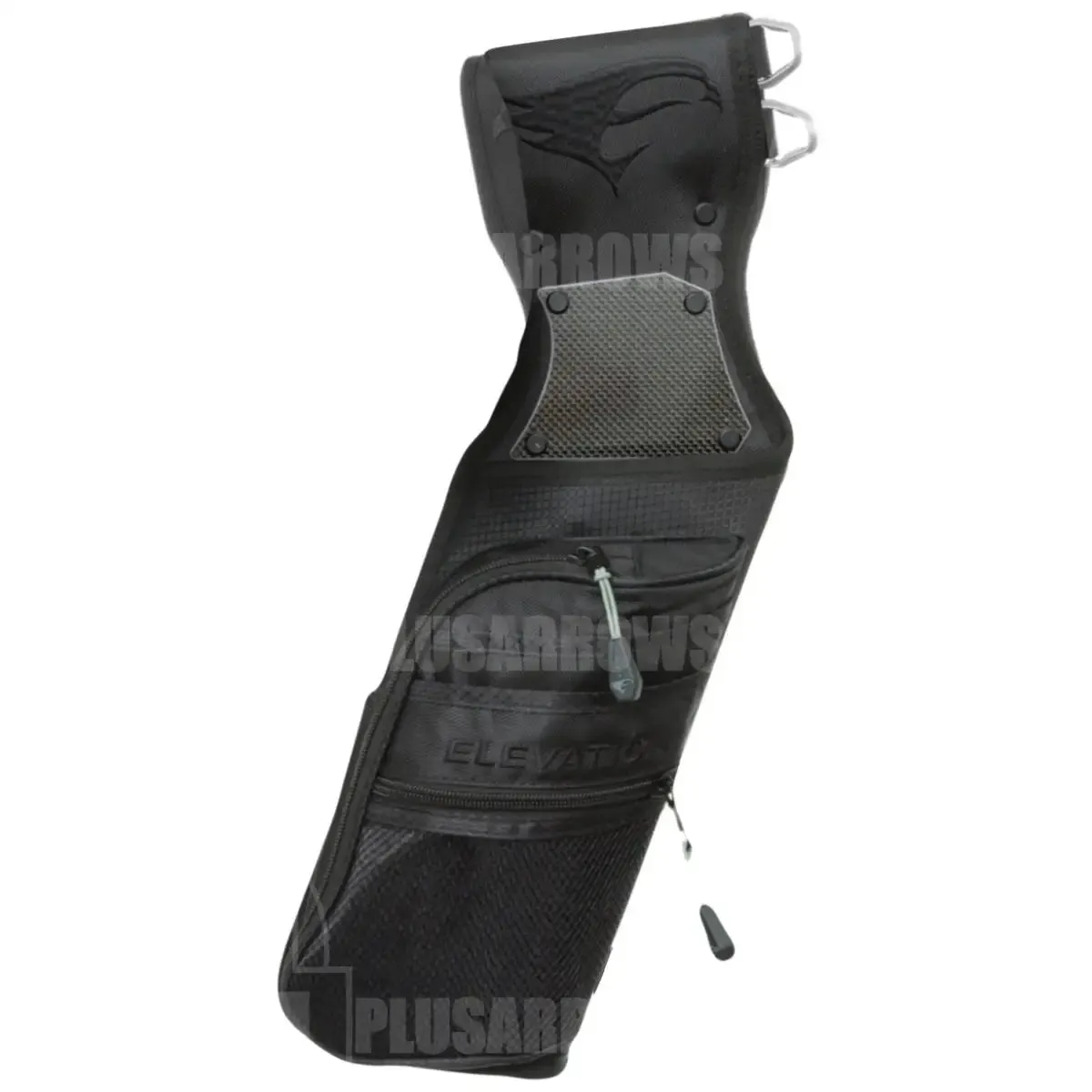 Elevation Nerve Field Quiver