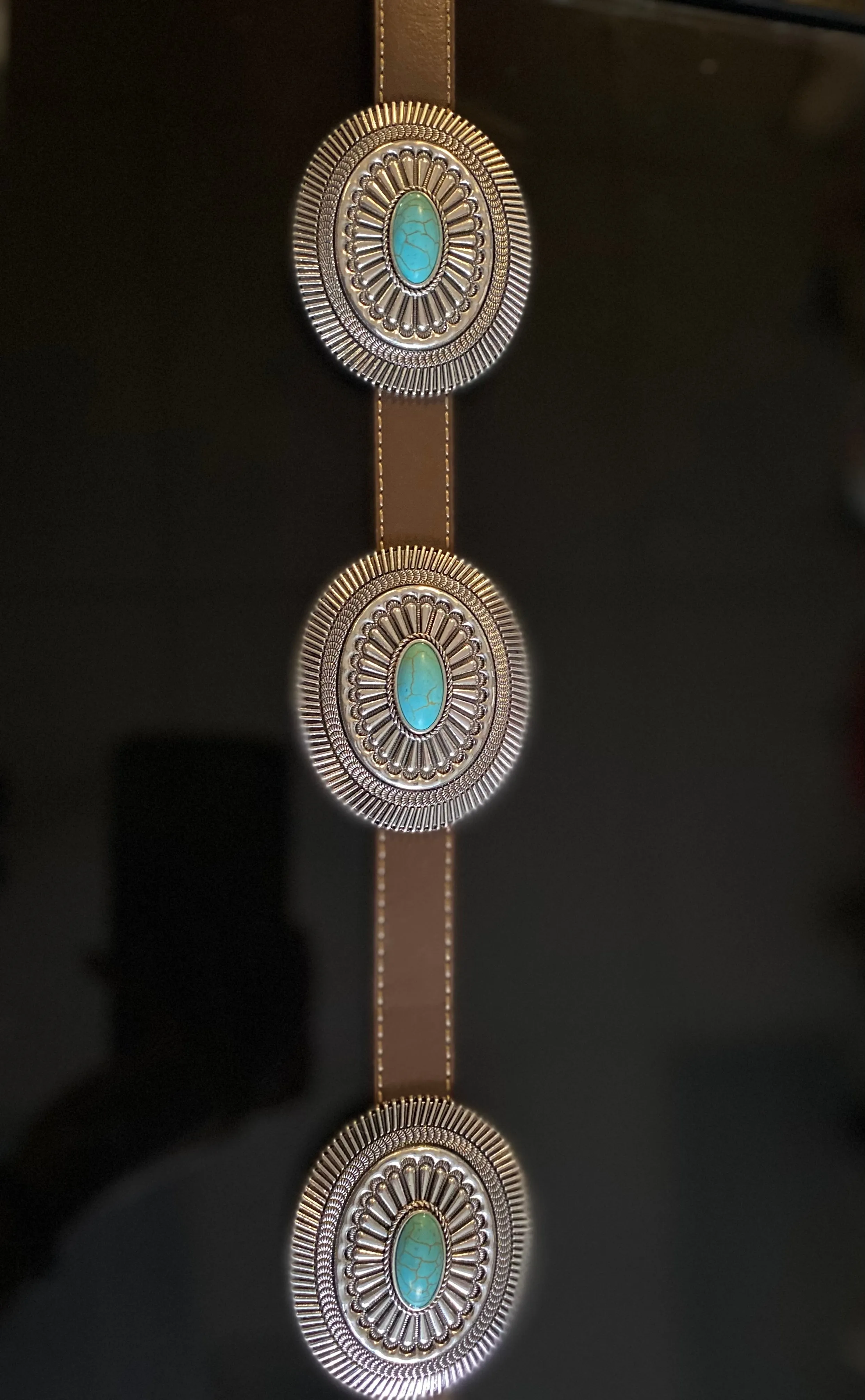 Gabriela Concho Brown Belt