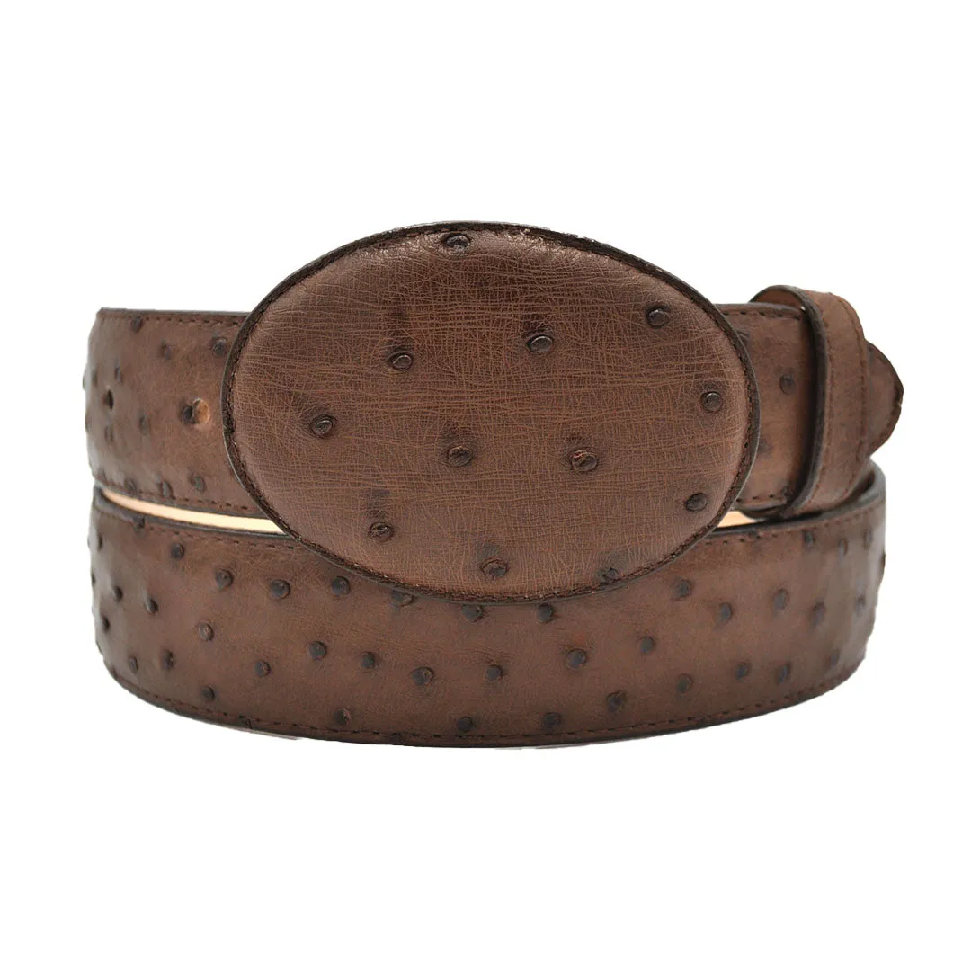 Gavel Full Quill Ostrich Western Belt - Tobacco