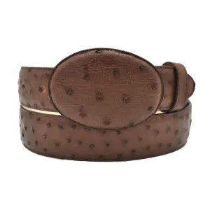 Gavel Full Quill Ostrich Western Belt - Tobacco