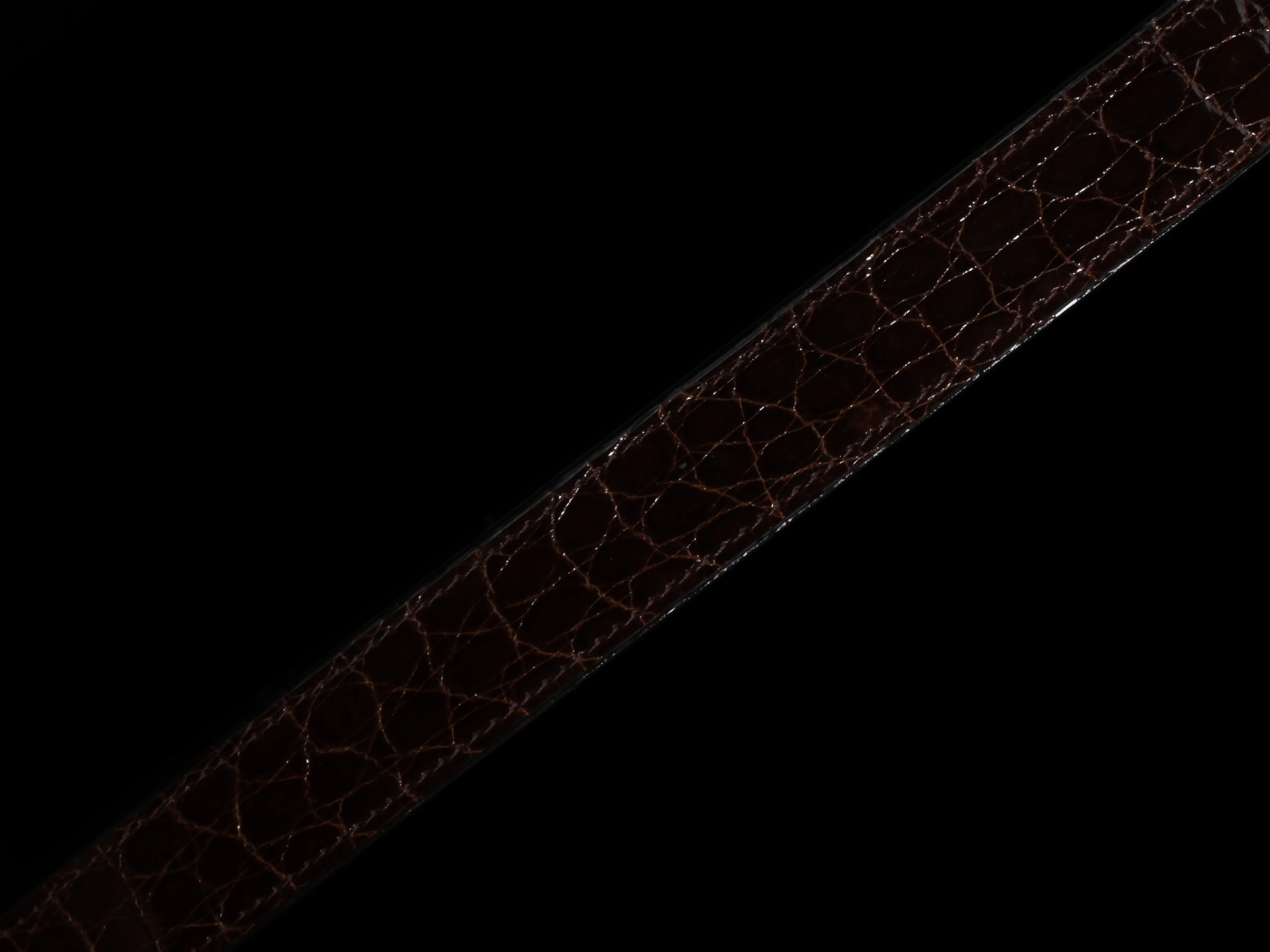 Glazed Alligator Belts (Classic Colors)