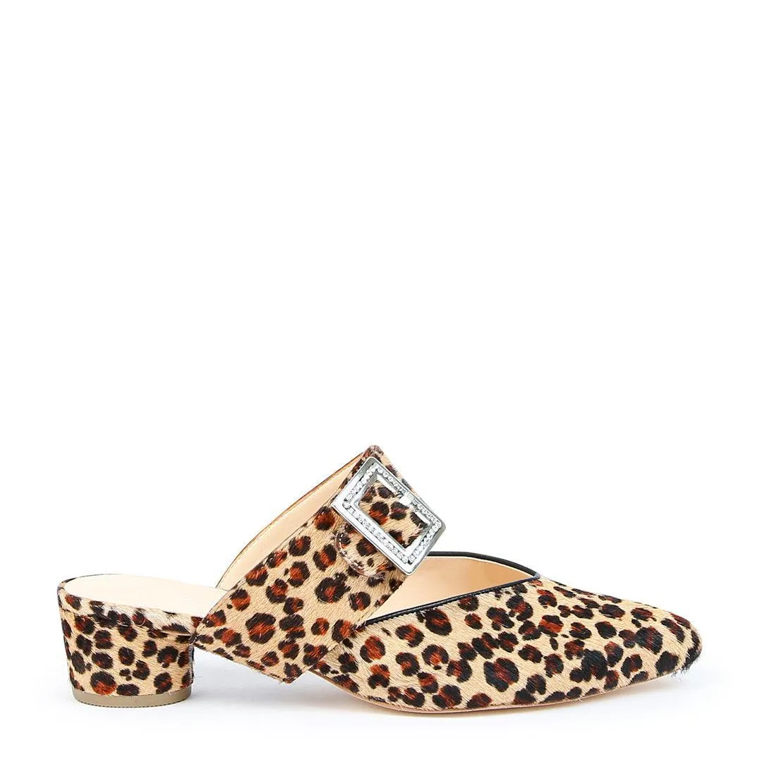 Grace in Leopard
