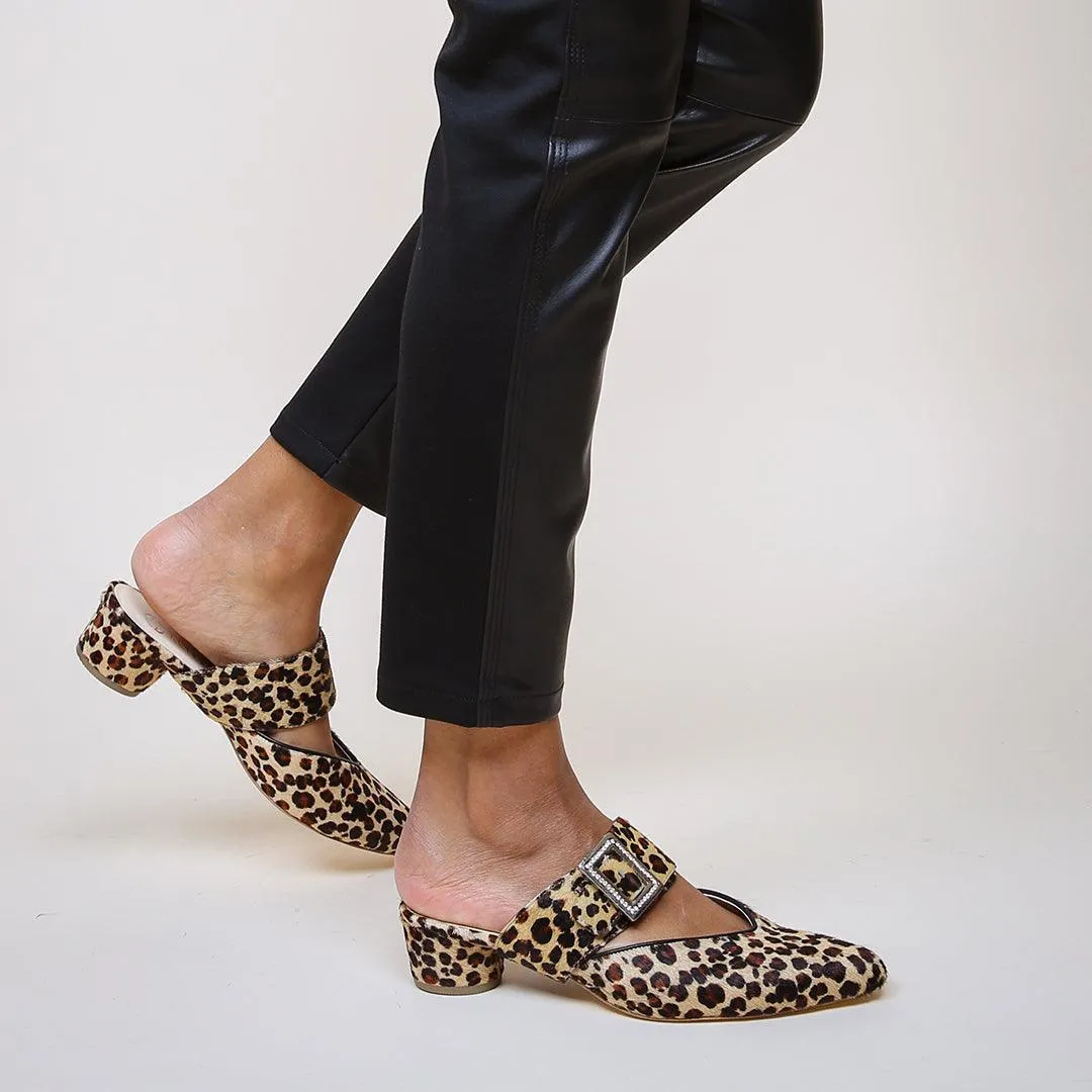 Grace in Leopard