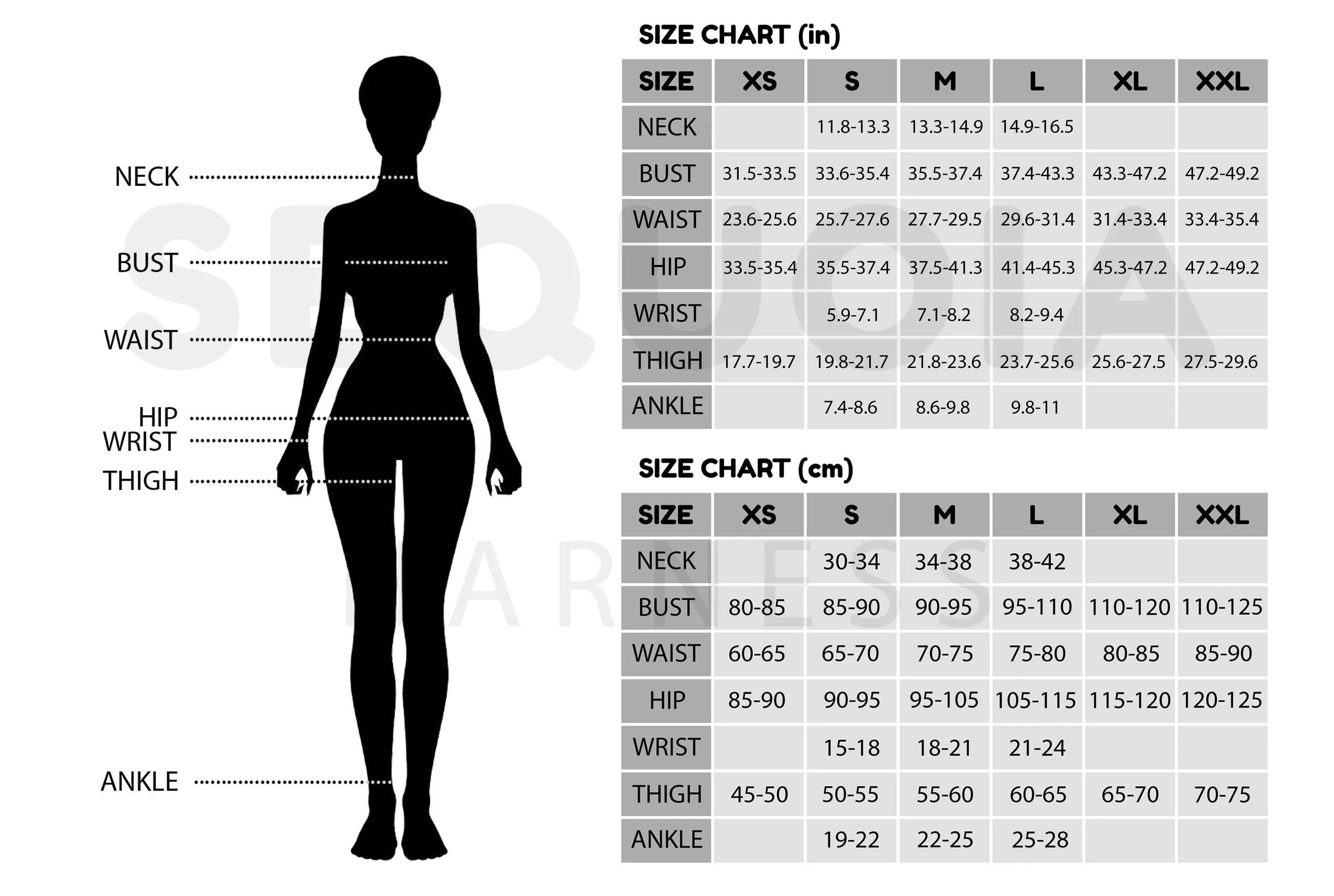 Harness "Artemia"
