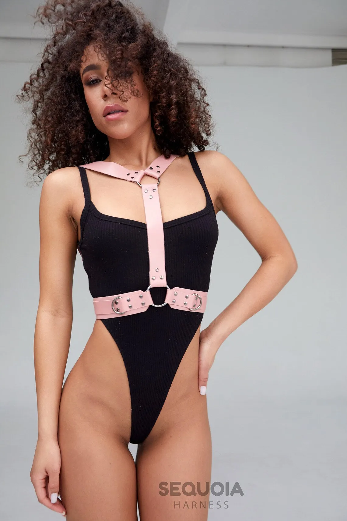 Harness "Artemia"