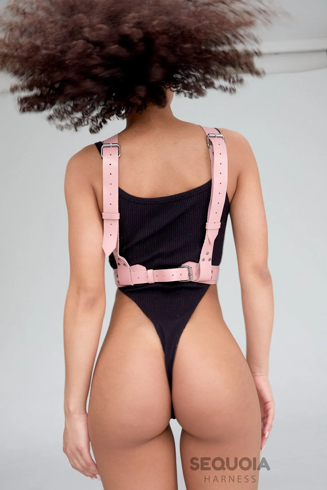 Harness "Artemia"