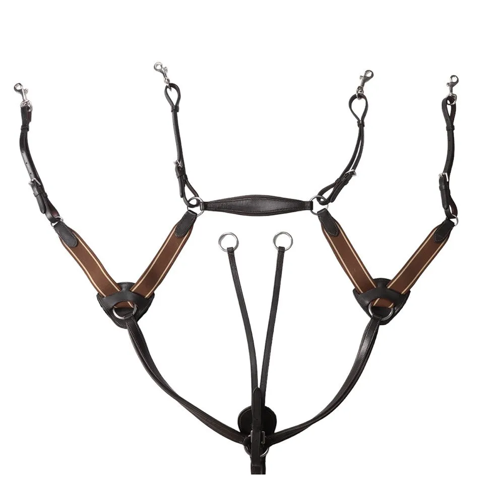 Jeremy and Lord Five Point Breastplate