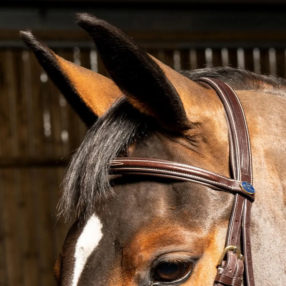 John Whitaker Valencia Premium Flash Bridle (inc. 9-Loop Rubber Reins)