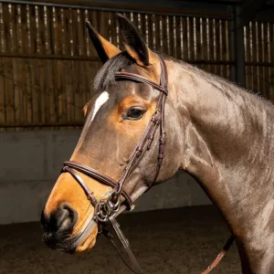 John Whitaker Valencia Premium Flash Bridle (inc. 9-Loop Rubber Reins)