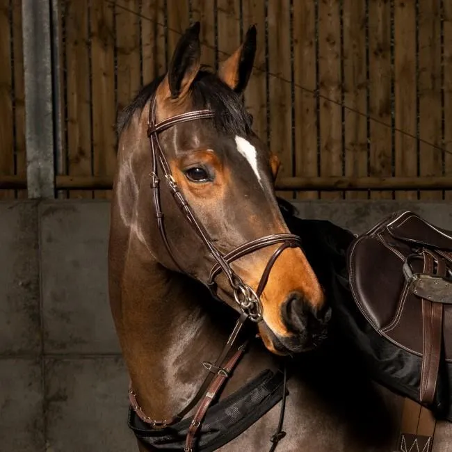 John Whitaker Valencia Premium Flash Bridle (inc. 9-Loop Rubber Reins)