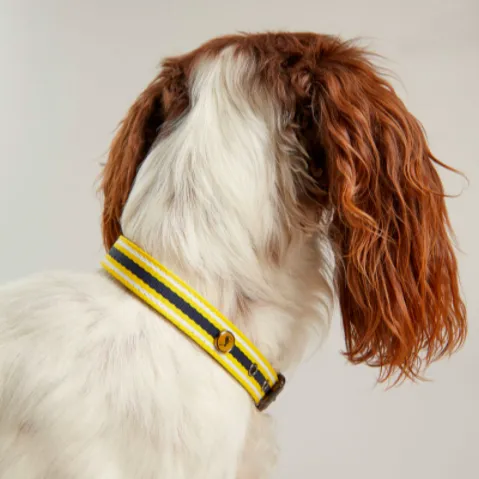 Joules Coastal Dog Collar - Various Sizes & Adjustable Comfort