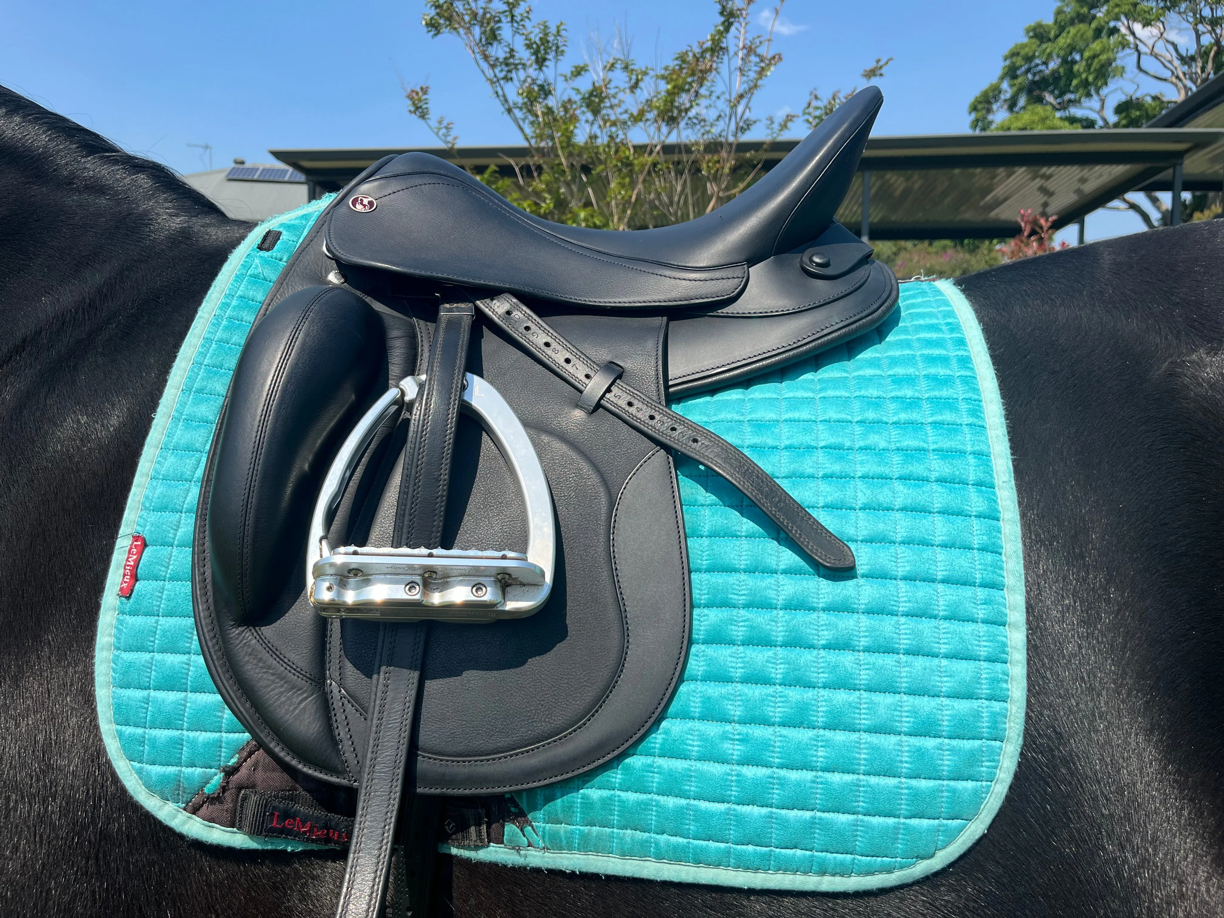 Kieffer Brugge Dressage Saddle