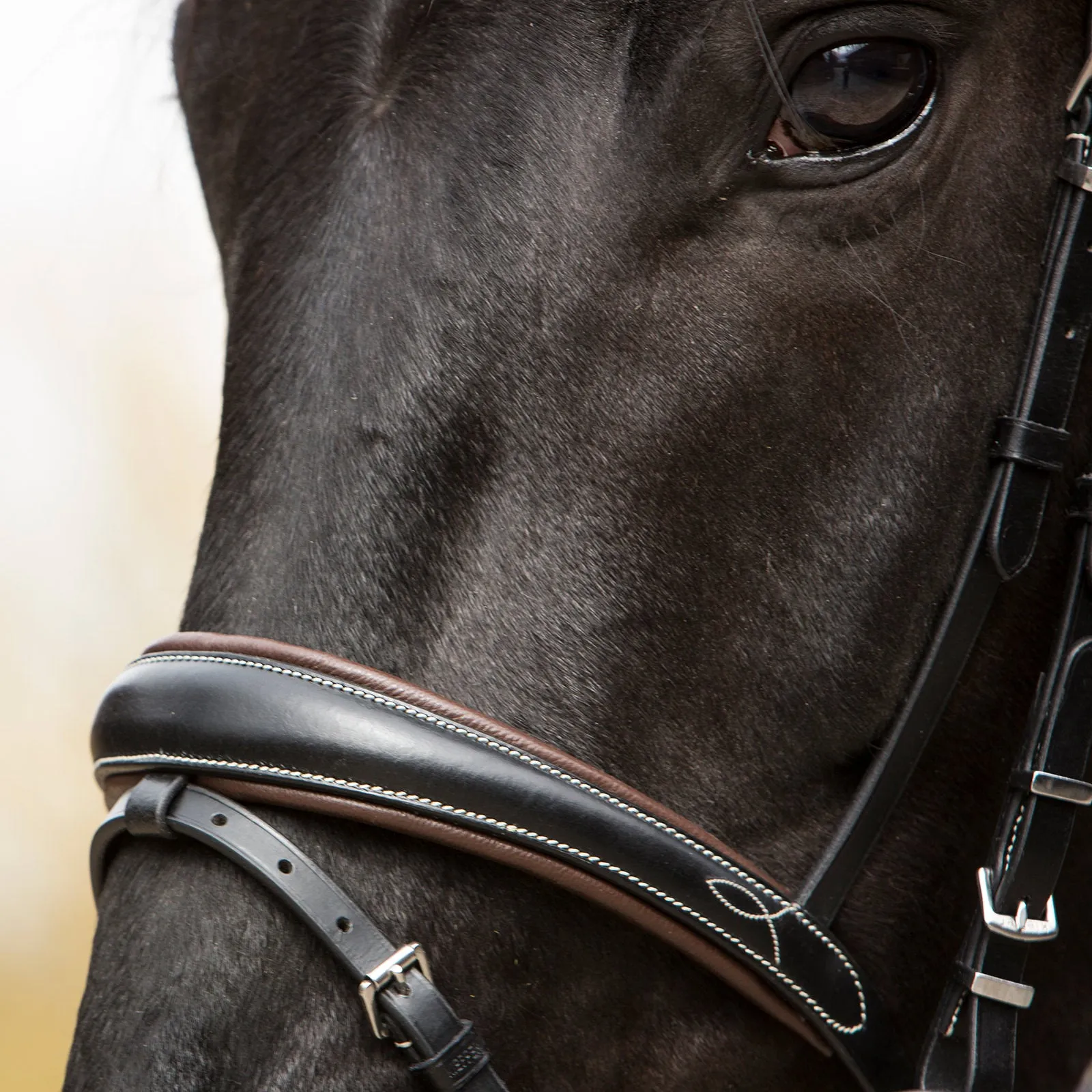 Kieffer Vera Snaffle Bridle