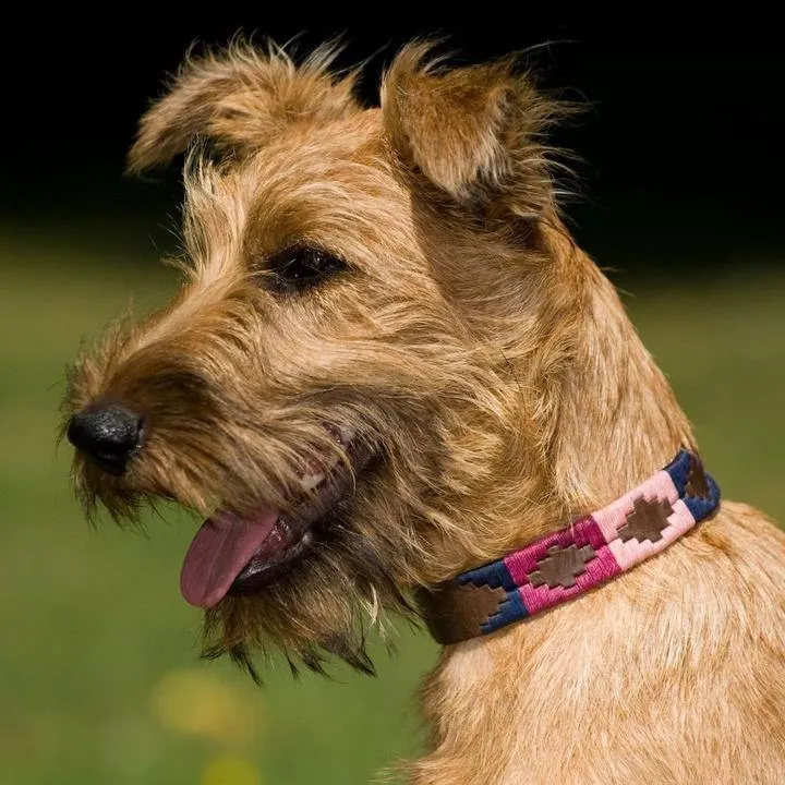 Pioneros Argentinian Gaucho Polo Leather Dog Collar Berry Navy Pink