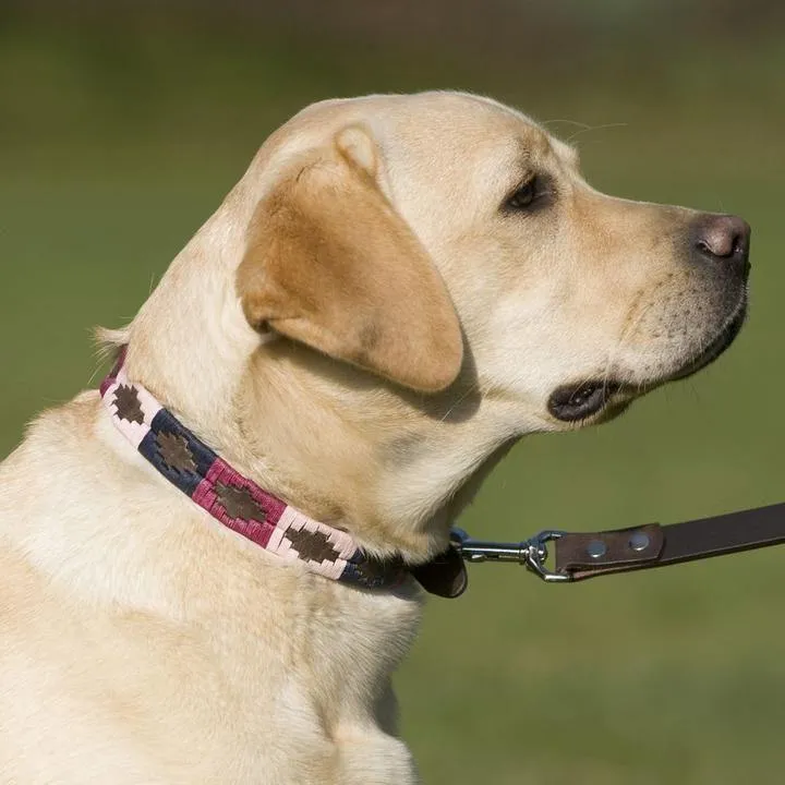 Pioneros Argentinian Gaucho Polo Leather Dog Collar Berry Navy Pink