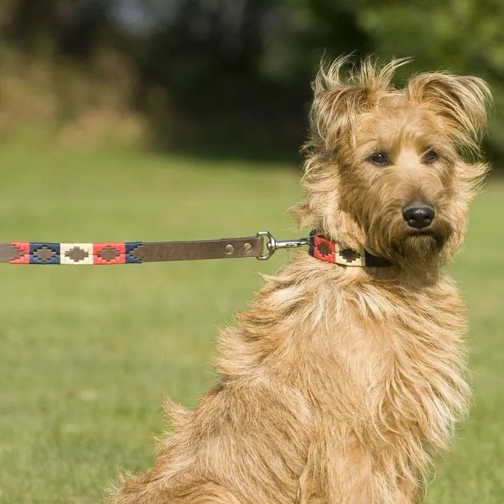 Pioneros Argentinian Gaucho Polo Leather Dog Lead Navy Cream Red