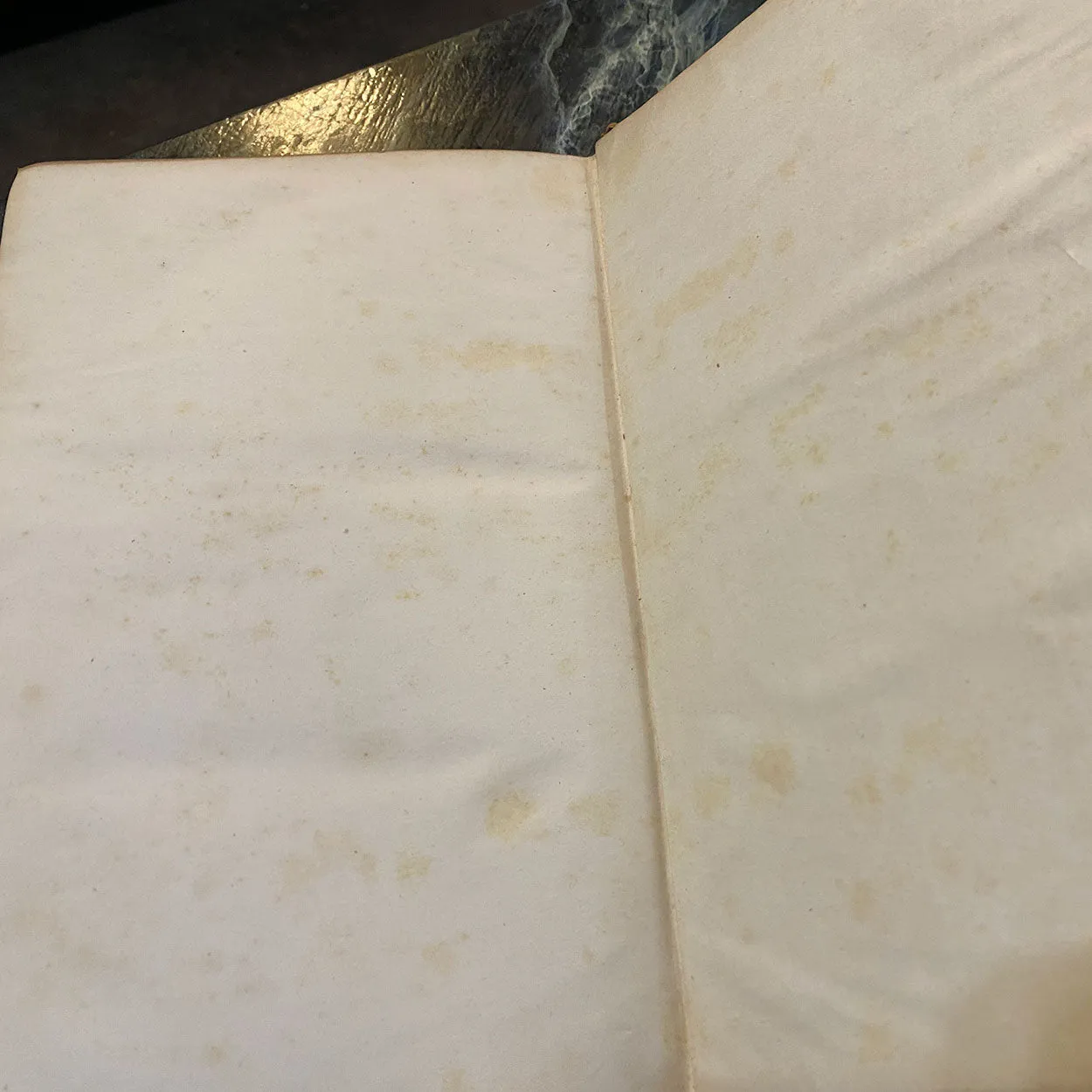 Set of Two Leather Bound Books: The Works of Washington Irving, Volume I-II