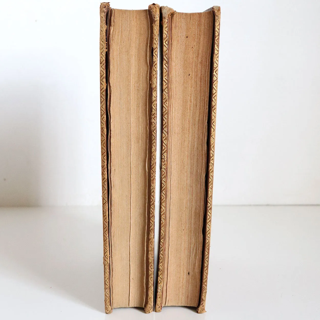 Set of Two Leather Bound Books: The Works of Washington Irving, Volume I-II