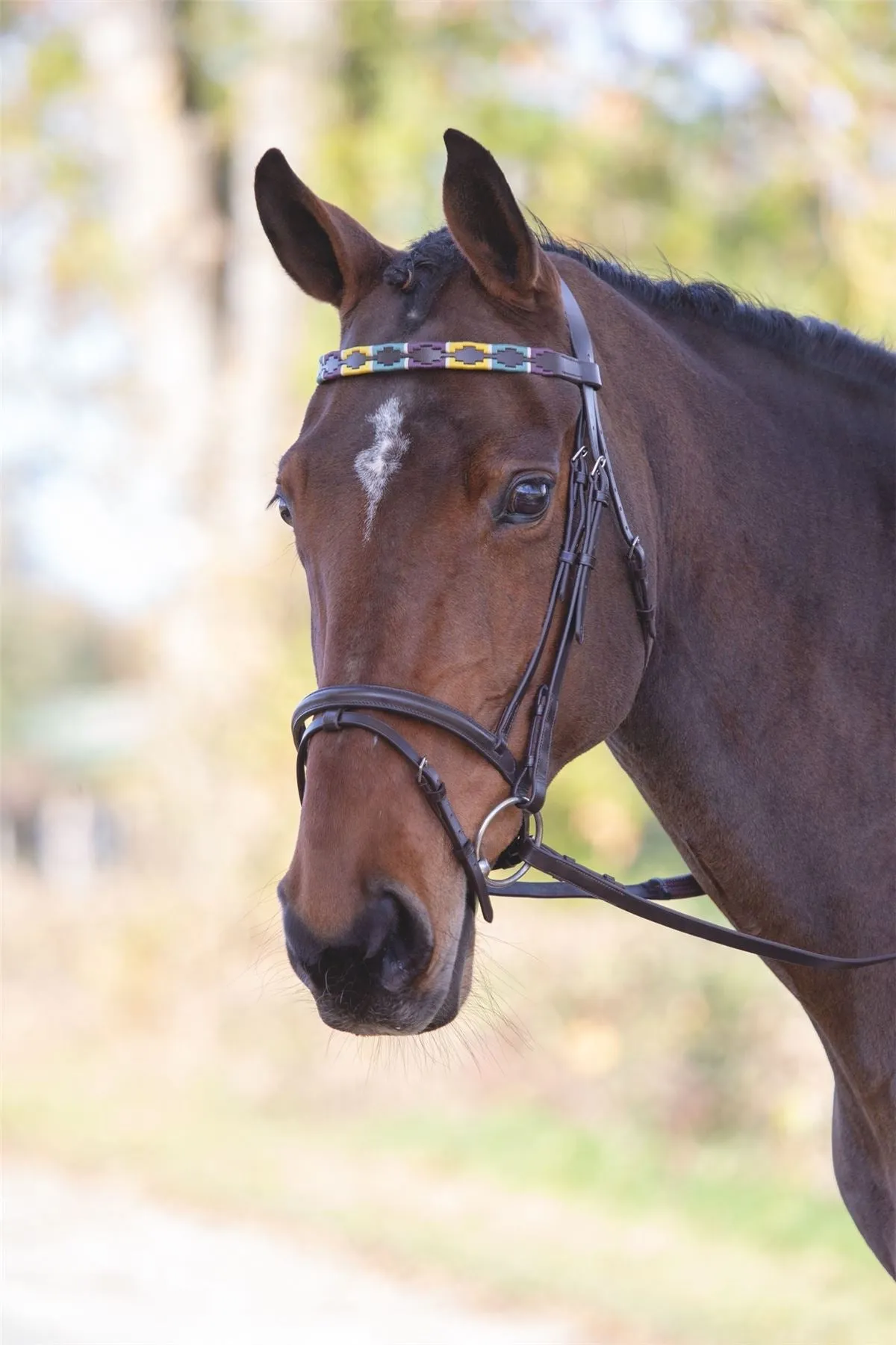 Shires Blenheim Leather Polo Browband