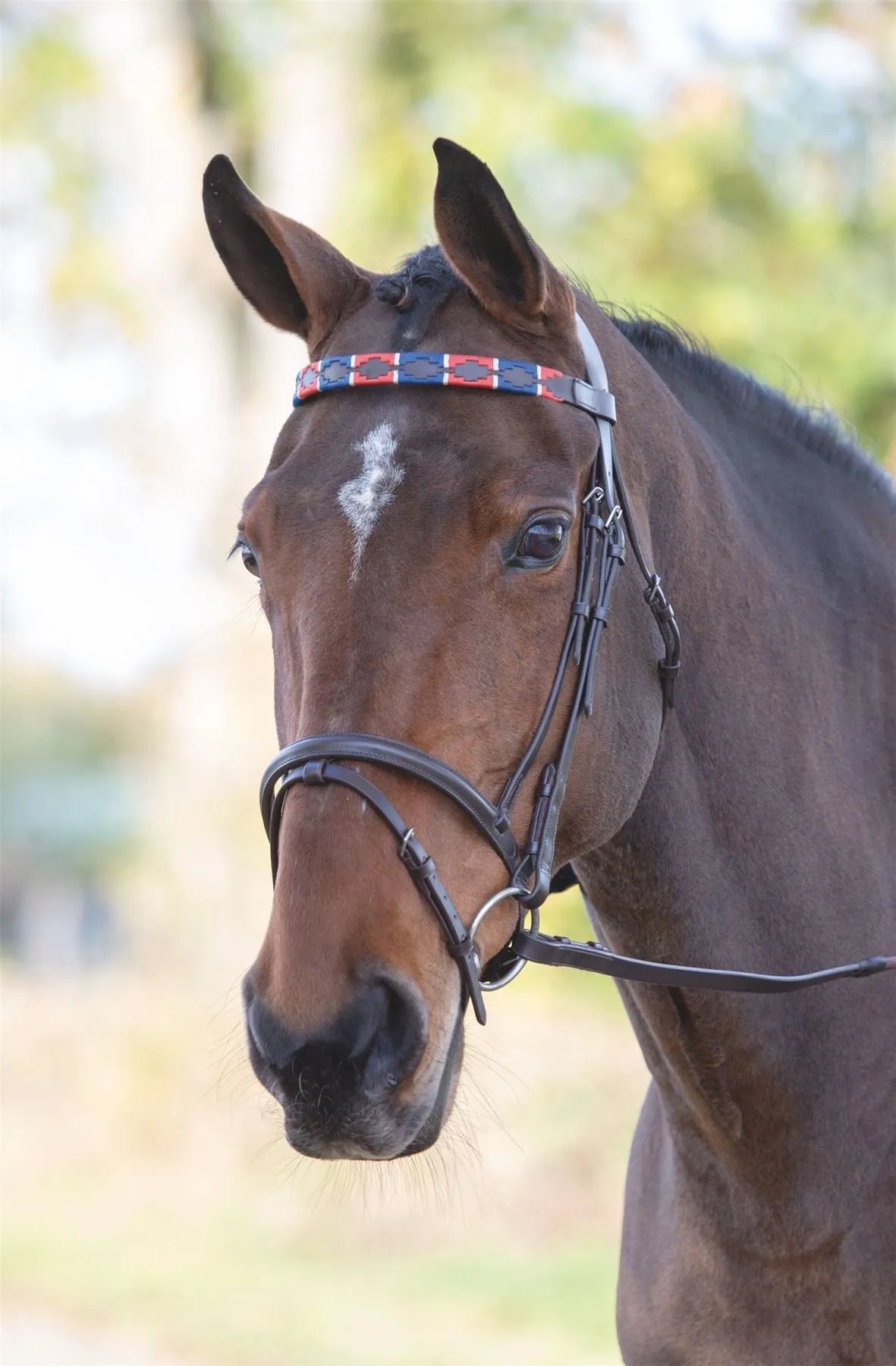 Shires Blenheim Leather Polo Browband