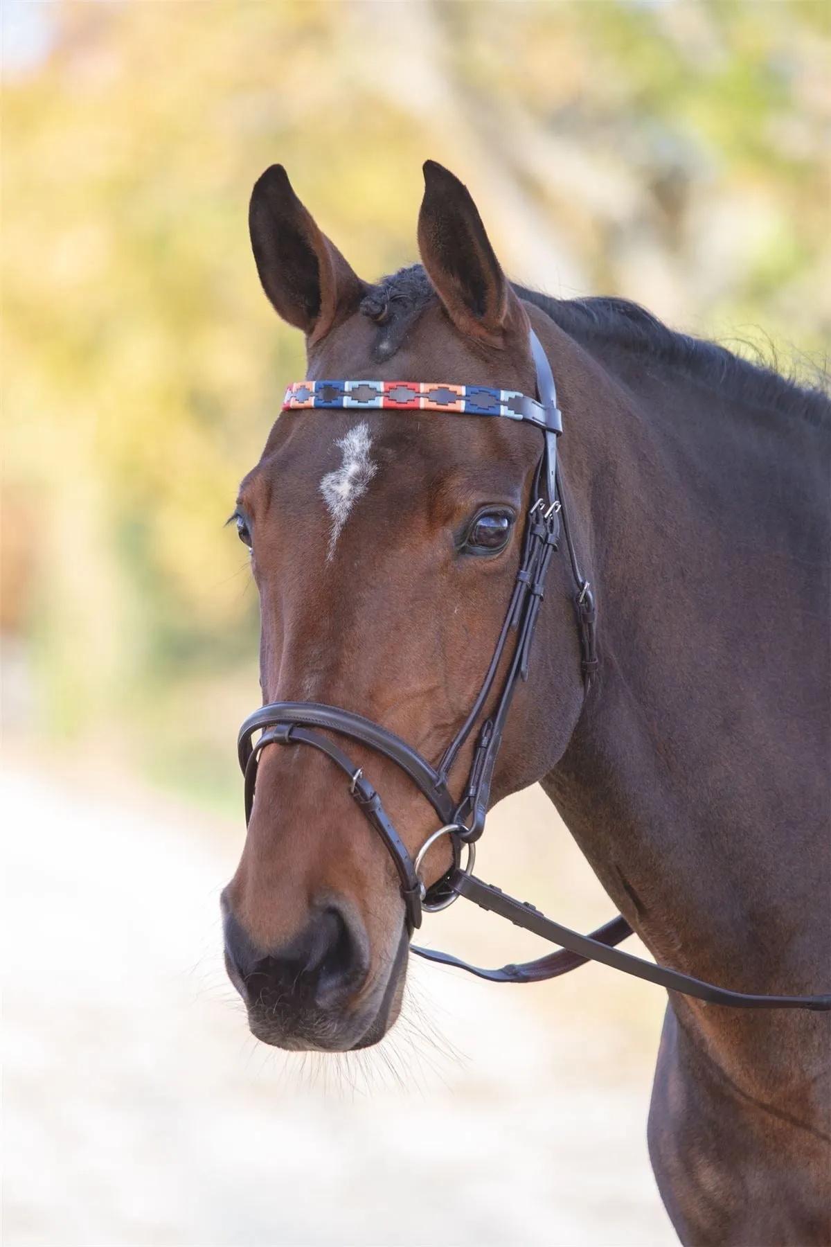Shires Blenheim Leather Polo Browband