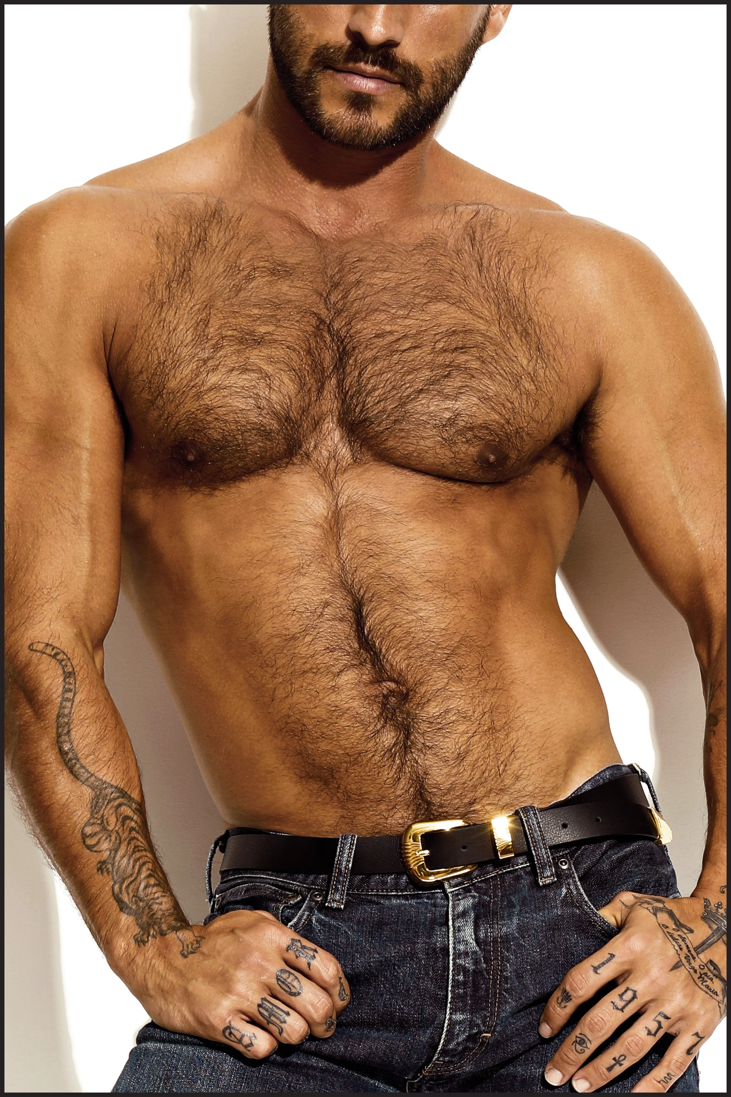 Stallion Wide Belt