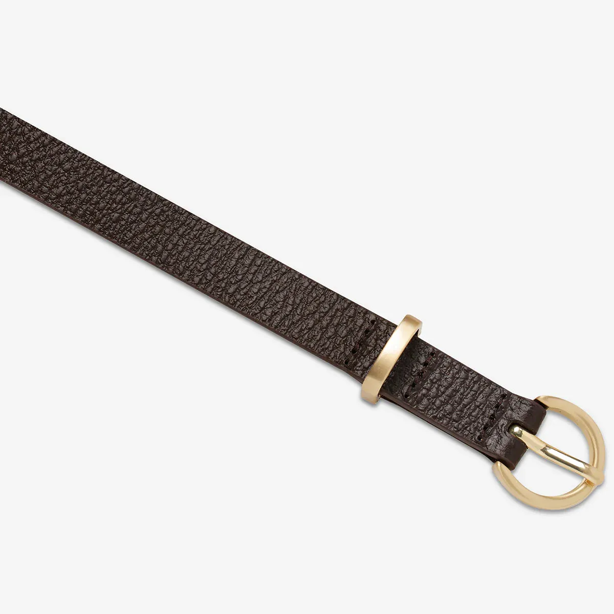 Status Anxiety II HAPPENS ALL THE TIME belt - Choc/Gold