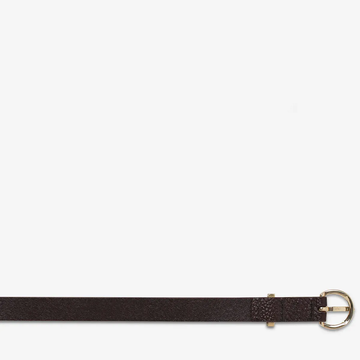 Status Anxiety II HAPPENS ALL THE TIME belt - Choc/Gold