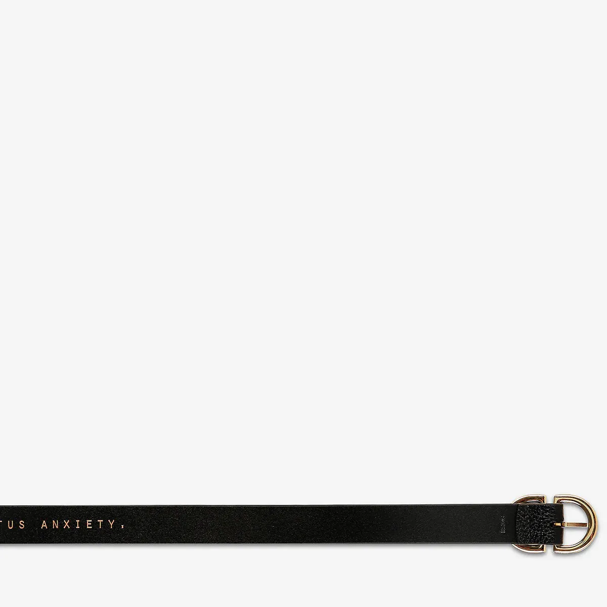 STATUS ANXIETY II IN REVERSE Belt - black/gold