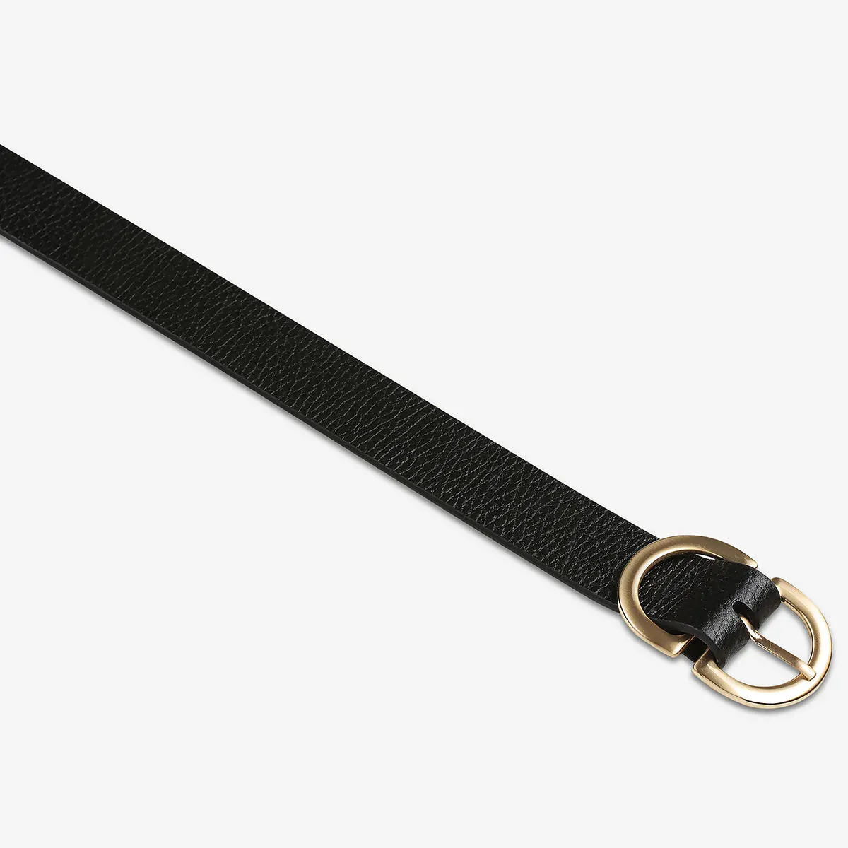 STATUS ANXIETY II IN REVERSE Belt - black/gold