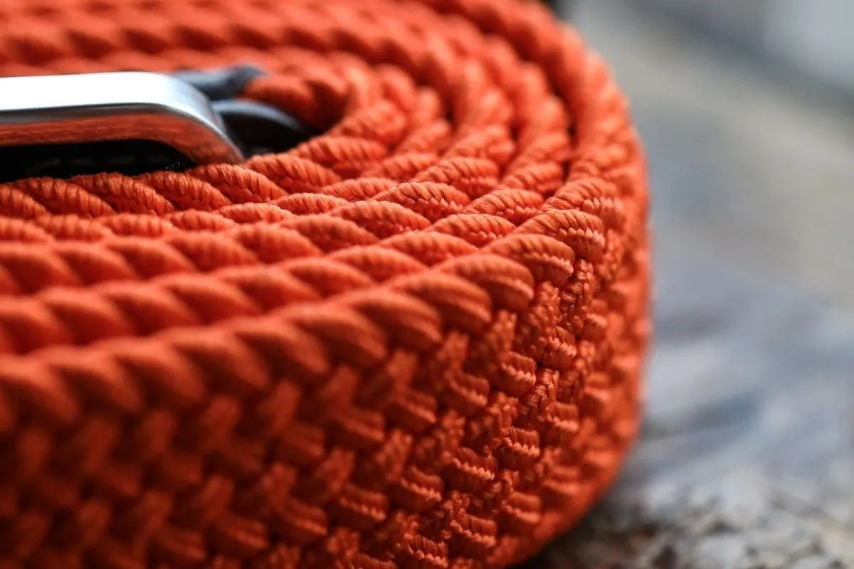 Swole Panda Woven Belt Orange