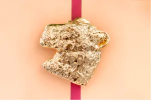 The Chloe Buckle