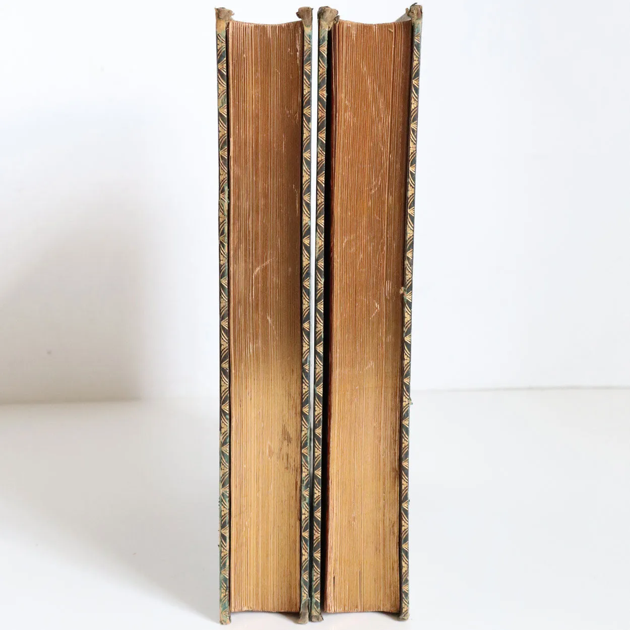 Two Volumes Books: The Scenery and Antiquities of Ireland by N.P. Willis & J. Stirling Coyne