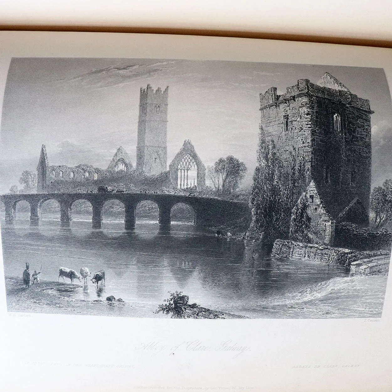 Two Volumes Books: The Scenery and Antiquities of Ireland by N.P. Willis & J. Stirling Coyne